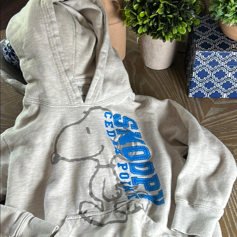 Kids Snoopy Peanuts Cedar Point Amusement Park Gray Hoodie Sweatshirt XS